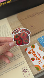 Favourite Stranger Monthly Subscription